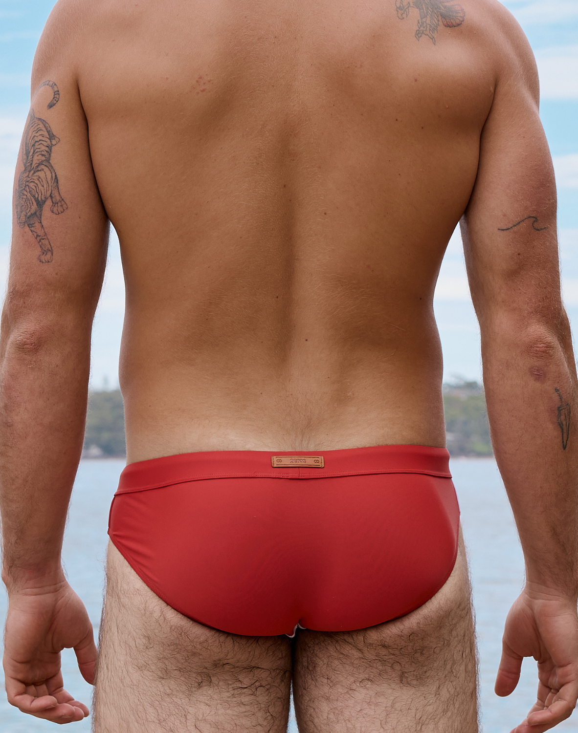 V10 Colour-Blocked Swim Brief - Calypso White/Terracotta-thumbmail-4
