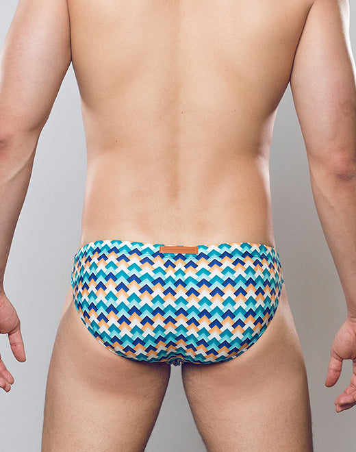 V20 Print Swim Brief - Chevy Blue